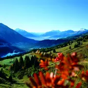 alpenwelt-lenzerheide-sunstar-alpine-hotel-lenzerheide-schweiz- – Alpenwelt Lenzerheide (Sunstar Hotels)